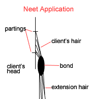 Hair Extension proper Application